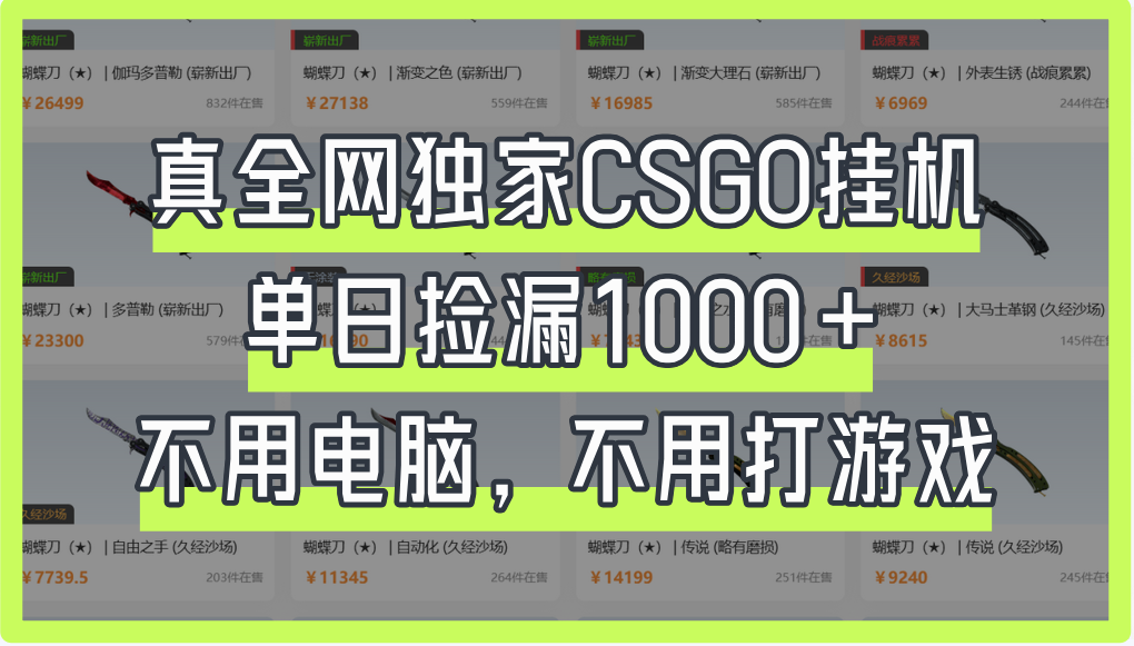 真全網(wǎng)獨(dú)家CSGO掛機(jī)，單日撿漏1000+