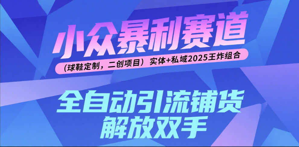 楠—小眾暴利賽道（球鞋定制，二創項目）實體+私域2025王炸組合
