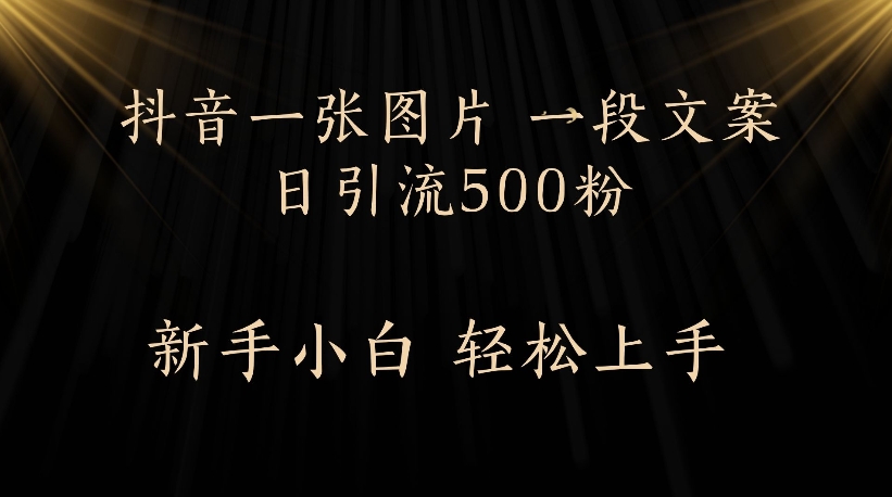 抖音一張圖片，一段文案日引流500粉，新手小白 輕松上手