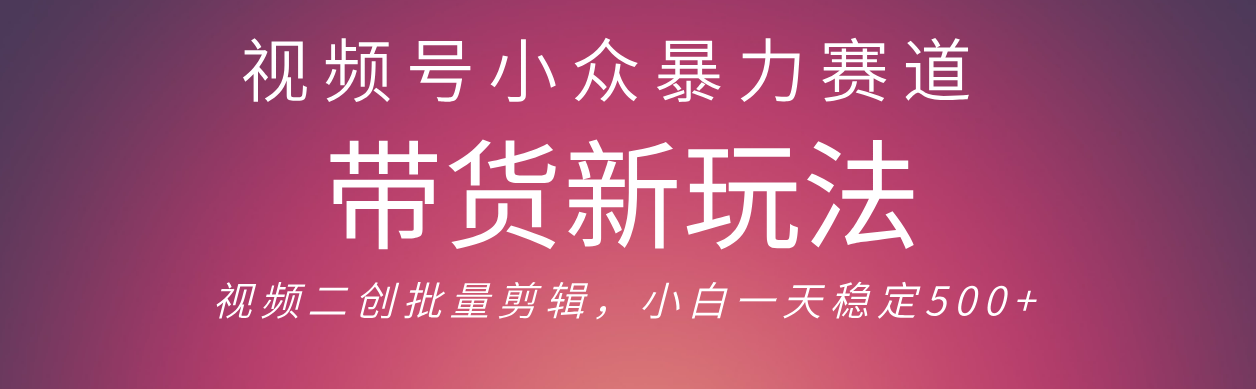 視頻號(hào)小眾暴力賽道，最新帶貨玩法 小白也能輕松日入500+ 保姆及教程
