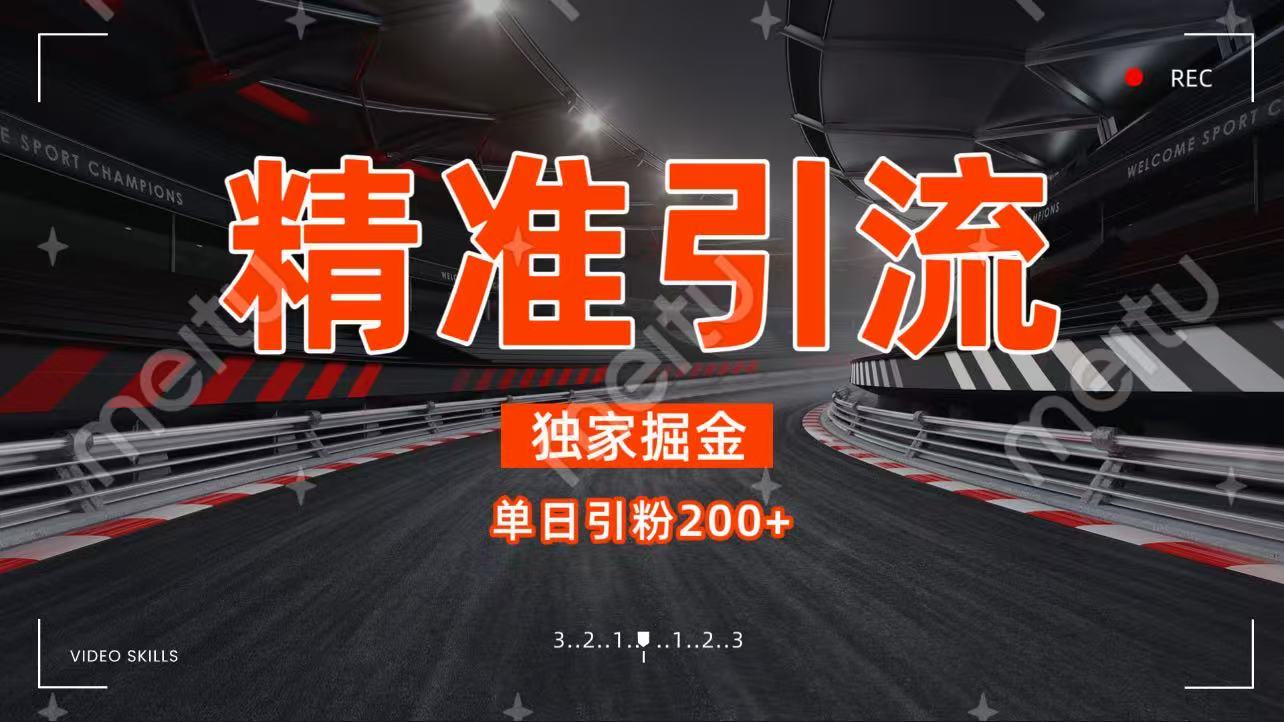 獨家野路子精準引流 每日200+