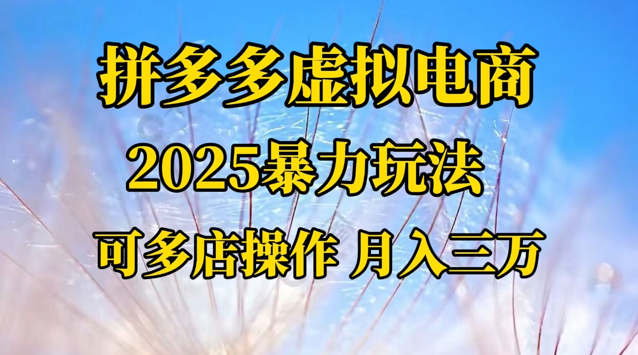拼多多虛擬電商，不囤貨不墊資的虛擬電商插圖