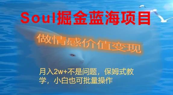 Soul掘金藍海項目細分賽道，做情感價值變現(xiàn)，月入2w 不是問題