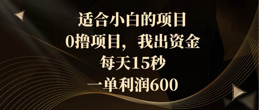 適合小白的項目，0擼項目，我出資金，每天15秒，一單利潤600