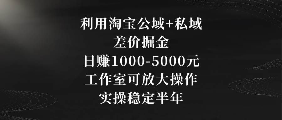 利用淘寶公域+私域差價(jià)掘金，日賺1000-5000元，工作室可放大操作，實(shí)操…