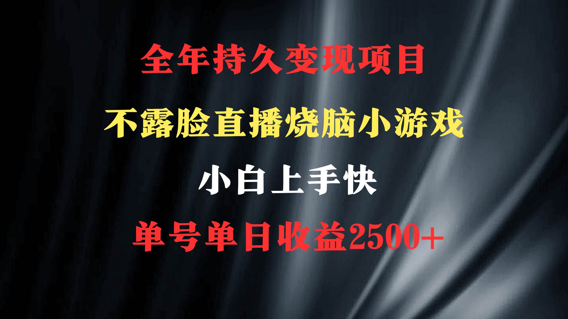 2024年 最優(yōu)項(xiàng)目，燒腦小游戲不露臉直播  小白上手快 無門檻 一天收益2500+插圖1