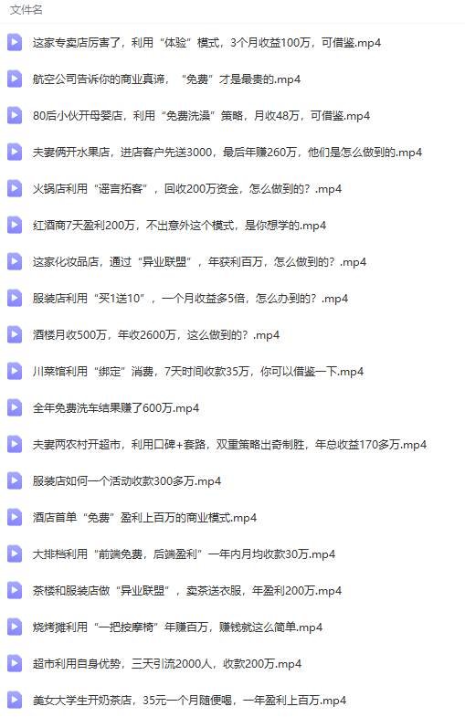 真實有效391套商業模式，年入幾十到幾百萬案例解析（電子書+視頻+圖文）插圖7