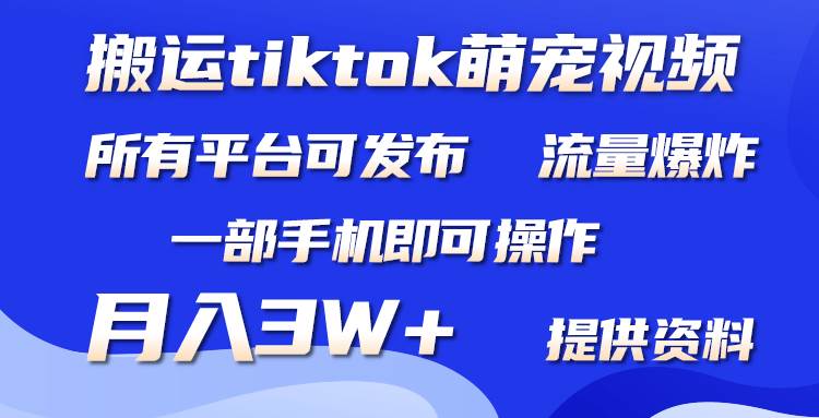 搬運Tiktok萌寵類視頻，一部手機即可。所有短視頻平臺均可操作，月入3W+