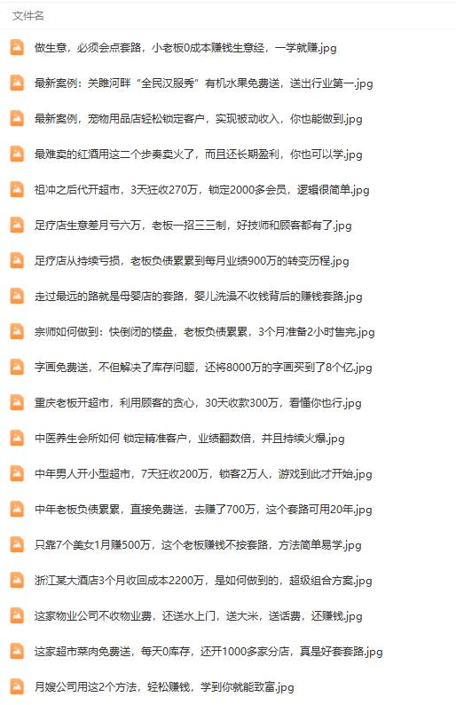 真實有效391套商業模式，年入幾十到幾百萬案例解析（電子書+視頻+圖文）插圖4