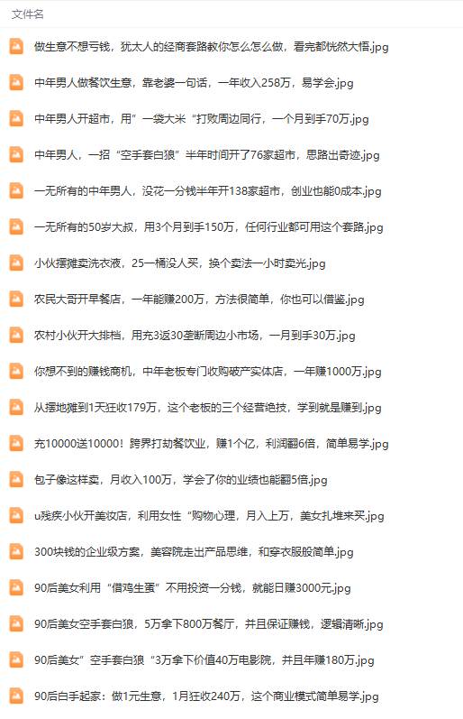真實有效391套商業模式，年入幾十到幾百萬案例解析（電子書+視頻+圖文）插圖6