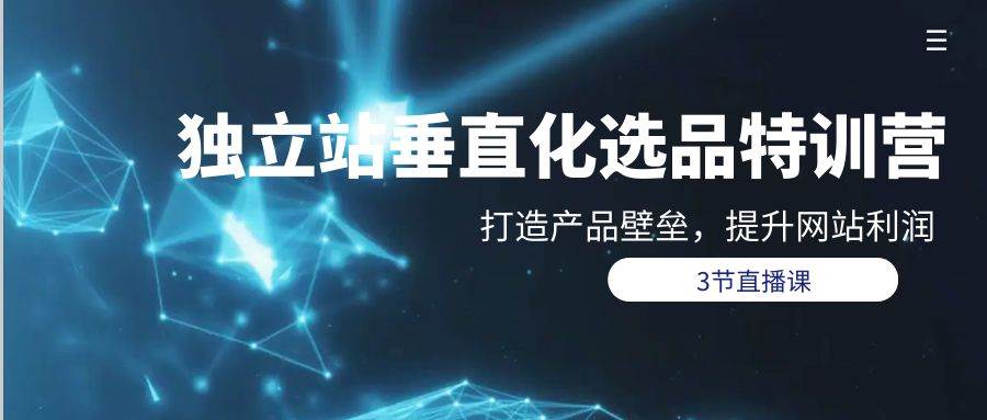 獨立站-垂直化選品訓練營，打造產品壁壘，提升網站利潤（3節直播課）