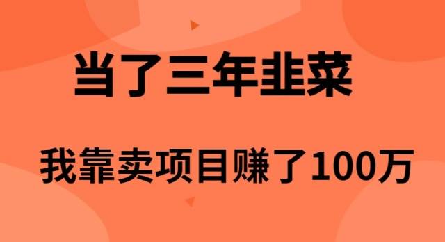 當了3年韭菜，我靠賣項目賺了100萬