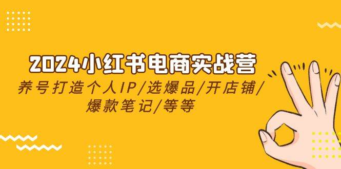 2024小紅書(shū)電商實(shí)戰(zhàn)營(yíng)，養(yǎng)號(hào)打造IP/選爆品/開(kāi)店鋪/爆款筆記/等等（24節(jié)）