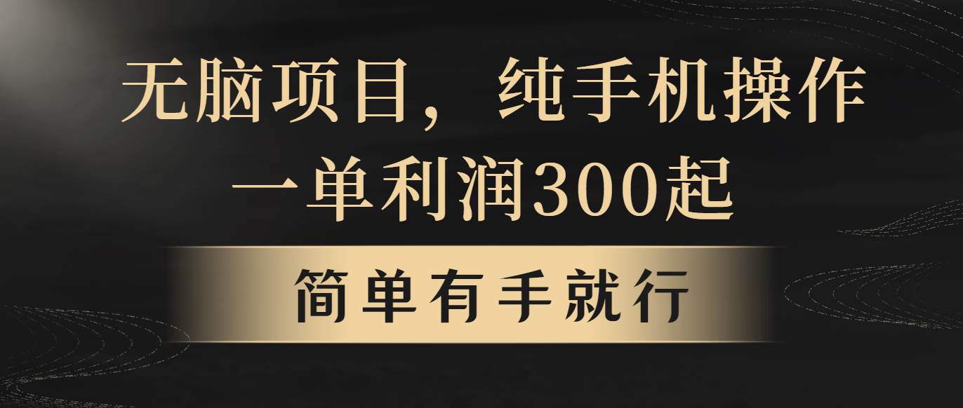 無腦項目，一單幾百塊，輕松月入5w+，看完就能直接操作
