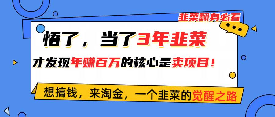 悟了，當(dāng)了3年韭菜，才發(fā)現(xiàn)網(wǎng)賺圈年賺100萬(wàn)的核心是賣項(xiàng)目，含淚分享！
