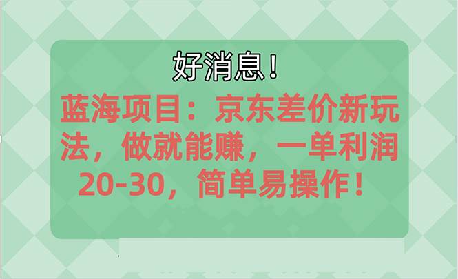越早知道越能賺到錢的藍海項目：京東大平臺操作，一單利潤20-30，簡單…