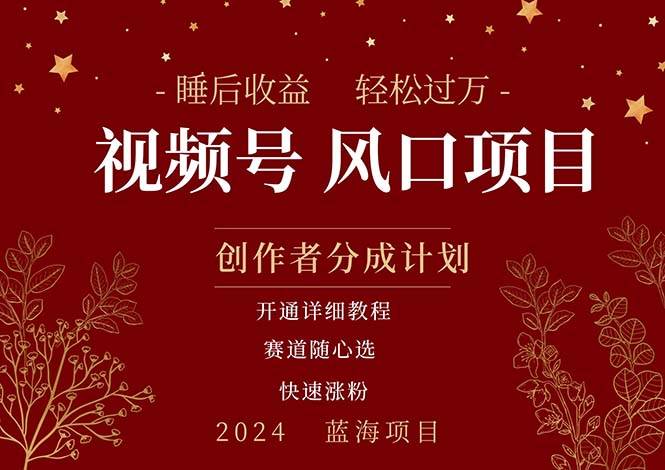 擁有睡眠收益的微信視頻號(hào)大風(fēng)口項(xiàng)目，輕松月入過萬+，多賽道選擇，可…