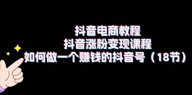 抖音電商教程：抖音漲粉變現(xiàn)課程：如何做一個賺錢的抖音號（18節(jié)）