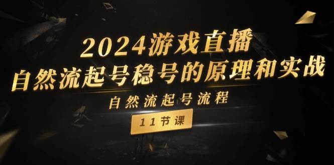 2024游戲直播-自然流起號穩(wěn)號的原理和實戰(zhàn)，自然流起號流程（11節(jié)）插圖