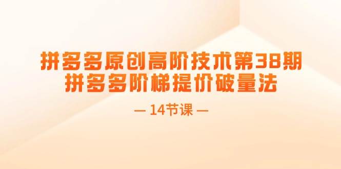 拼多多原創高階技術第38期，拼多多階梯提價破量法（14節課）插圖