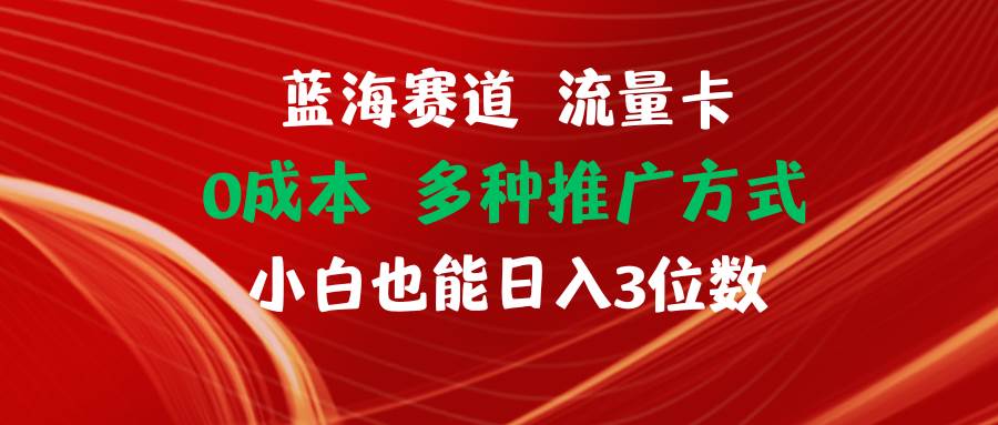 藍海賽道 流量卡 0成本 小白也能日入三位數(shù)插圖