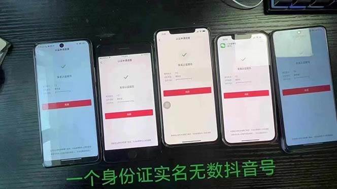 抖音無限實(shí)名技術(shù)：一個(gè)SFZ號(hào)碼可以十名無數(shù)個(gè)抖音賬號(hào)，具體自己實(shí)操插圖1